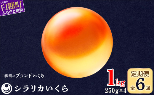 年6回お届け定期便 シラリカいくら（生いくら） 1kg(250g×4) お