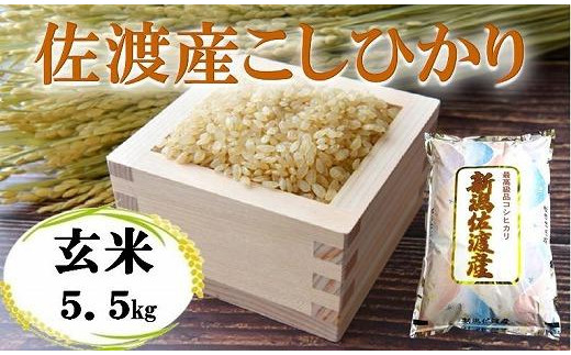 H29年新米新潟県長岡産コシヒカリ玄米30㎏ - その他