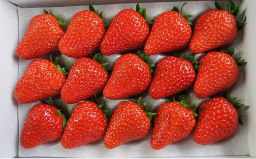 yʌasz[5720-0085]Ƃ肩Ƃ̂@gق؁@ԁEʌ