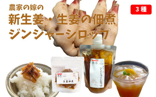 【新生姜1kg・佃煮1袋・シロップ1個】農家の嫁の生姜佃煮1袋70g ジンジャーシロップ200ml クラフトジンジャー 掘りたて 土付き 新ショウガ  1kg ごはんのお供（C）