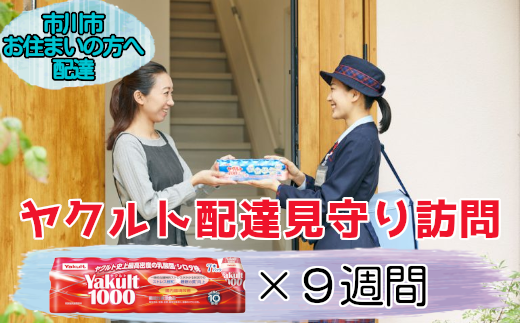 市川市内の訪問限定＞ヤクルト配達見守り訪問(9週間／Yakult1000 63本