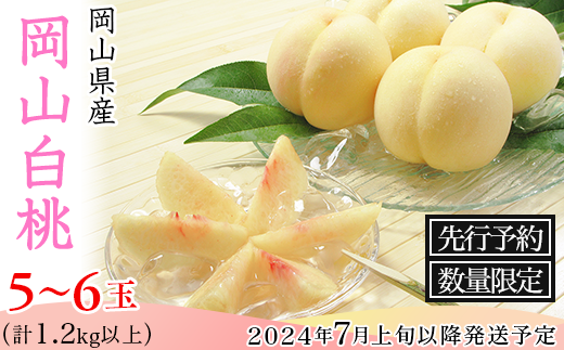 スポット特売 送料無料（一部除く）】 岡山産 夢白桃 約1.5ｋｇ