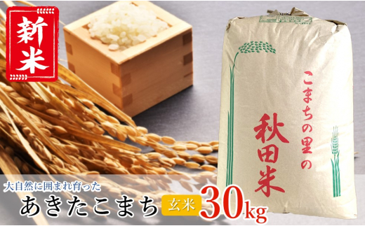 令和5年産】うまい!! 本場のあきたこまち 玄米 30kg - 秋田県能代市