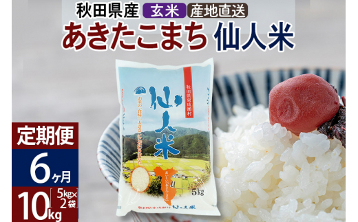 定期便6ヶ月】新米 令和5年産 あきたこまち 秋田県産「仙人米」玄米