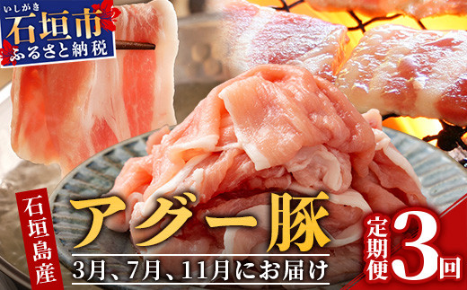 石垣島産アグー豚の定期便（3月、7月、11月お届け）【南ぬ豚　アグー豚　焼肉　食べ比べ　豚肉　石垣　石垣島　沖縄　八重山】 E-30