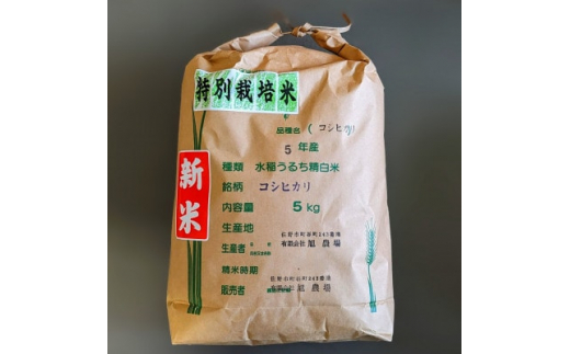 令和元年産　栃木県産コシヒカリ玄米30キロ