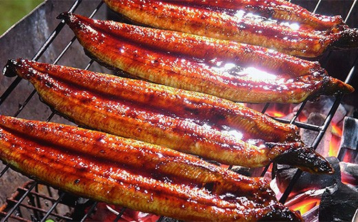 1日10セット限定】四万十うなぎ直営店「うなきち」地焼きセット 【2尾