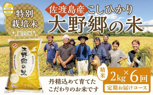 令和５年産新米】佐渡島産 特別栽培米こしひかり「大野郷の米」精米2kg