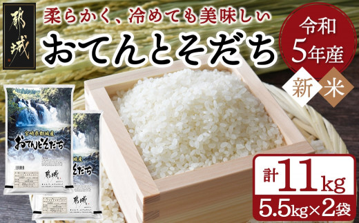 お米【岩手産ひとめぼれ 10kg】白くて美味しい♪一等米 精米済 白米