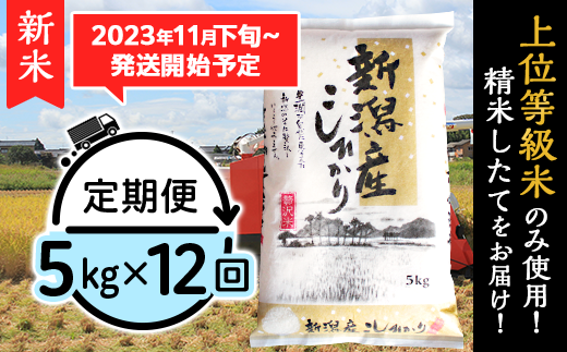 K53【3ヶ月連続お届け】新潟県産コシヒカリ5kg - 新潟県胎内市