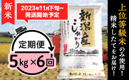 K53【3ヶ月連続お届け】新潟県産コシヒカリ5kg - 新潟県胎内市