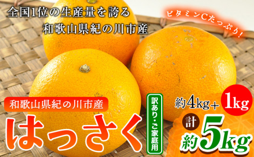 訳あり/ご家庭用】はっさく 八朔 4kg＋1kg 計約5kg サンファーム《1月