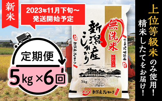 M056【無洗米】新潟県産コシヒカリ5kg【6ヶ月連続お届け】 - 新潟県