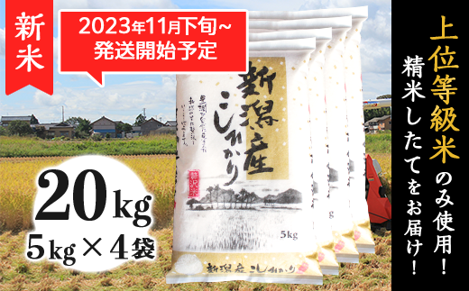 K201新潟県産コシヒカリ20kg（5kg×4袋） - 新潟県胎内市｜ふるさと