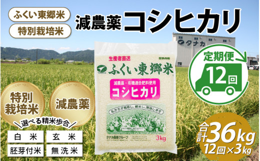 定期便3ヶ月連続】令和5年産 ふくい東郷米 特別栽培米 減農薬