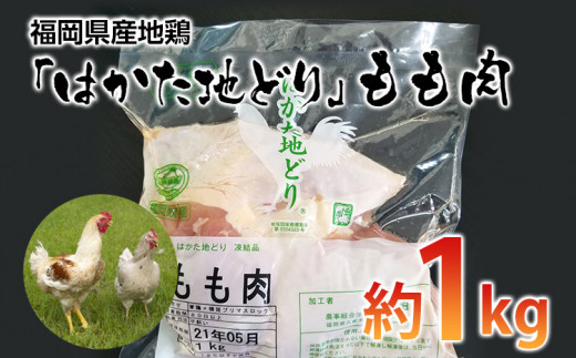 y݂₱zYn{u͂nǂv(1kg) 񂹃O   yY B nO yY   Hi