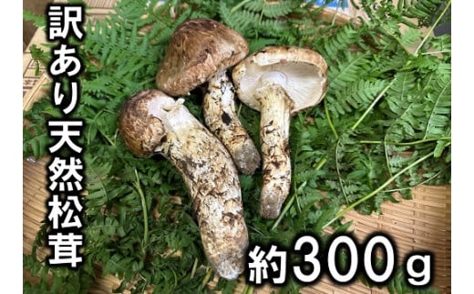 岩手県産❗天然松茸150ｇ② - 野菜