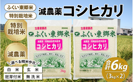 令和3年　新米　特別栽培米 精米20kg 減農薬 有機肥料100% コシヒカリ