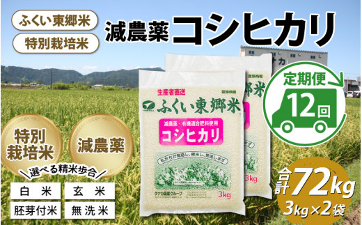 定期便12ヶ月連続】令和5年産 ふくい東郷米 特別栽培米 減農薬