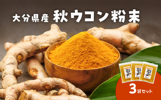 ウコン粉末1kg 沖縄県産春ウコン粉末タイプ100g-約1ヶ月分【送料無料】*メール