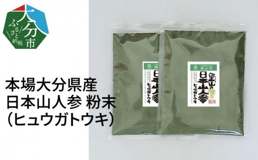 ヒュウガトウキ　日本山人参粉末　8袋 楽天市場】日本山人参粉末 60g 専用スプーン付 国産ヒュウガ