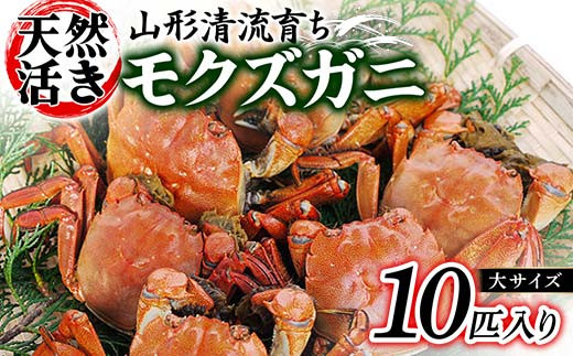 山形清流育ち 天然活きモクズガニ 約1.2kg（中小サイズ オス／メス混合 5～10匹入り） かに 海の幸 カニ 蟹 ガニ 魚介 海産物 海鮮 食品  山形県 FSY-0871 - 山形県｜ふるさとチョイス - ふるさと納税サイト