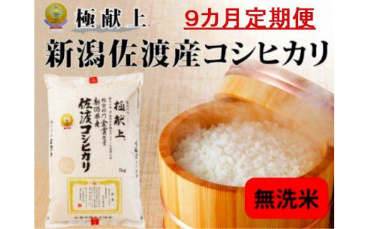 【9カ月定期便】新潟県佐渡産コシヒカリ「無洗米」5kg