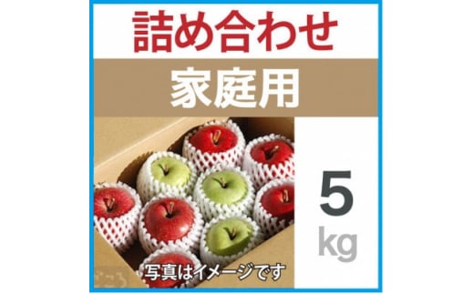 家庭用 りんご ミックスおまかせ 約5kg【1440031】 - 青森県黒石市｜ふるさとチョイス - ふるさと納税サイト