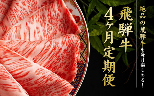 満喫飛騨牛4ヶ月定期便（全4回）牛肉 しゃぶしゃぶ すき焼き ステーキ