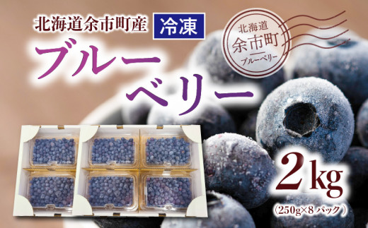 数量限定】冷凍ブルーベリー 250g×4パック×2箱 北海道産 甘くて