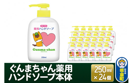 ぐんまちゃん薬用ハンドソープ本体(250ml)×24個入り - 群馬県板倉町