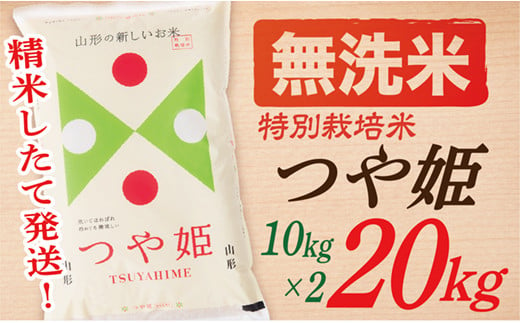 SA12004-2【令和5年産】【無洗米】山形県産つや姫20kg(10kg×2袋