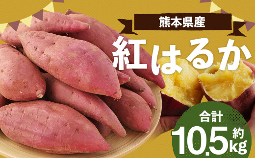 へいへい様専用 熊本県産 さつまいも『紅はるか』Mサイズ 約20キロ 12 へいへい様専用 熊本県産 さつまいも『紅はるか』Mサイズ 約20キロ 12