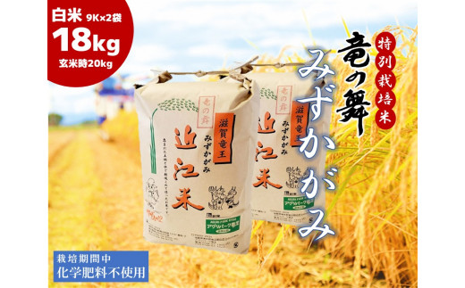 2023年産 竜の舞 秋の詩 白米 4.5kg （玄米時 5kg ） お米 おこめ 米