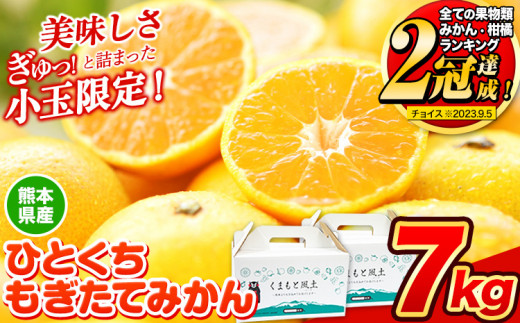 先行予約】 年内発送 みかん ひとくちもぎたて みかん 約7kg (3.5kg×2