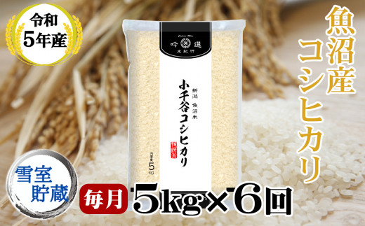 ふるさと納税 r05-30-5BE 令和5年産 魚沼産コシヒカリ 定期便 5kg×3回