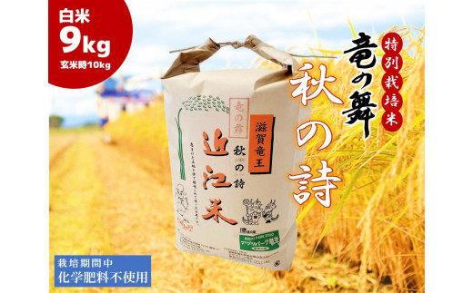 2023年産 竜の舞 秋の詩 白米 4.5kg （玄米時 5kg ） お米 おこめ 米