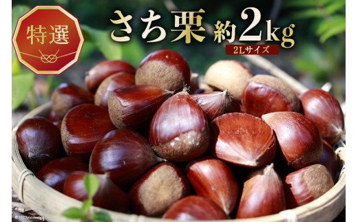 yΐ쌧BuzI I I 2LTCY  2kg  []_ ΐ쌧 Bu 38600723]  aI Y Yn H̖o