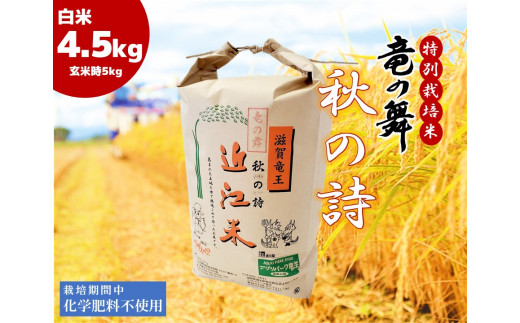 2023年産 竜の舞 秋の詩 白米 4.5kg （玄米時 5kg ） お米 おこめ 米 化学肥料不使用 特別栽培米 国産 近江米 農家直送 産地直送  滋賀県 竜王町 送料無料