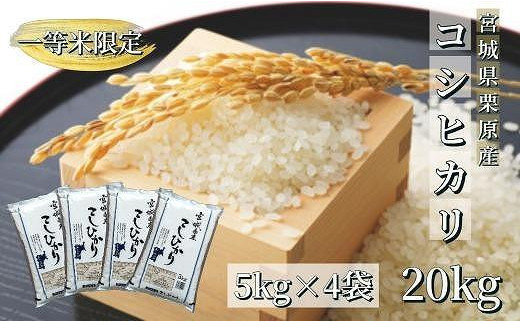 新米】【令和5年産】宮城栗原産 コシヒカリ 白米 5kg (5kg×1袋) 一等米