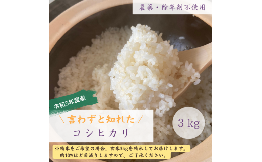 MA-23 新米令和5年度産・農薬不使用『コシヒカリ』3キロ【白米（標準