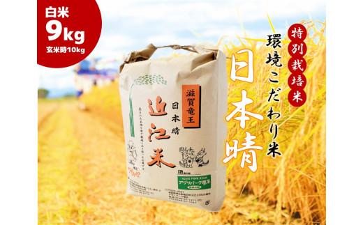 2023年産 日本晴れ 白米 9kg （ 玄米時 10kg ） お米 おこめ 米 化学 ...