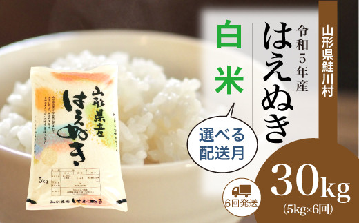 令和5年産＞ 鮭川村産 はえぬき 【白米】 定期便 30kg （5kg×1か月間隔