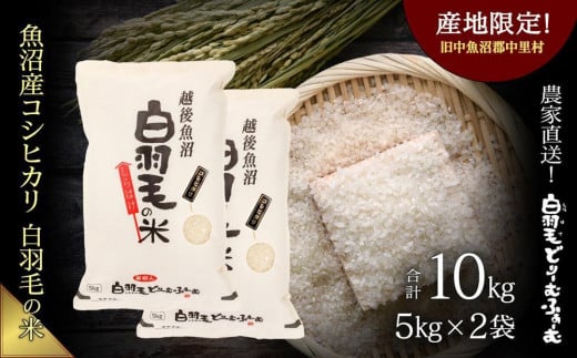 【通年受付】≪令和5年産≫　農家直送！魚沼産コシヒカリ「白羽毛の米」精米 (5kg×2袋) 10kg