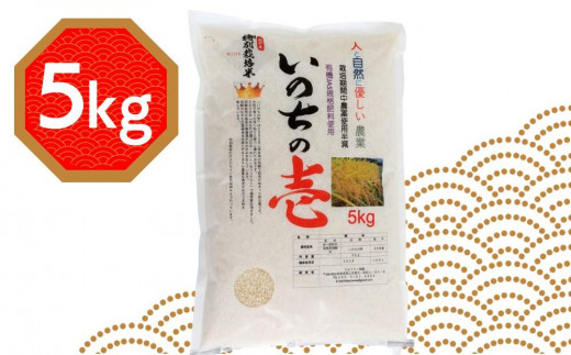 令和5年産 飛騨高山産「いのちの壱」（白米）5kg 飛騨産 お米 ご飯 ごはん クオリティ飛騨高山 TR4202