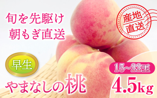 【先行予約】【2024年発送】もも 約4.5kg（早生）15～22玉　桃 山梨県産 フルーツ 産地直送 　早生, - 山梨県富士川町｜ふるさとチョイス  - ふるさと納税サイト