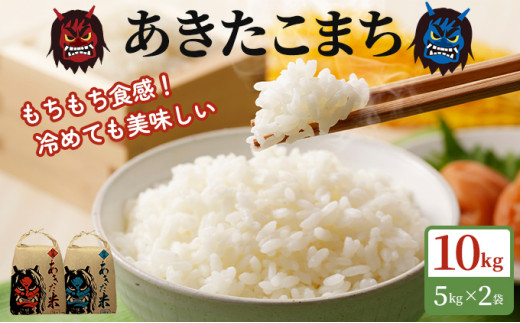 令和5年産 あきたこまち 精米 単一原料米 10kg（5kg×2袋）秋田県 男鹿