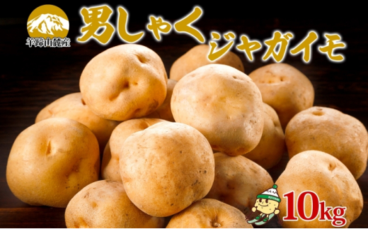 北海道産 じゃがいも 男爵 約10kg Lサイズ ジャガイモ 男爵いも 男爵 