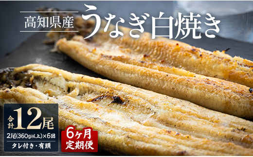 【6カ月定期便】高知県産鰻の白焼き180～210ｇ×2尾 合計12尾 エコ包装 - 鰻 ウナギ 有頭 つまみ ご飯のお供 たれ 簡易包装  Wyw-0073