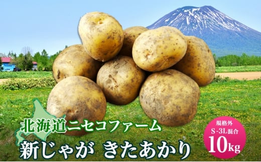 北海道産 じゃがいも きたあかり 10kg 規格外 訳あり S-3L サイズ混合 新じゃが 芋 ジャガイモ 野菜 農作物 お取り寄せ キタアカリ  馬鈴薯 ニセコファーム 送料無料 北海道 倶知安町 - 北海道倶知安町｜ふるさとチョイス - ふるさと納税サイト